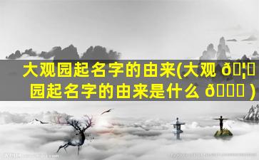 大观园起名字的由来(大观 🦉 园起名字的由来是什么 🍁 )